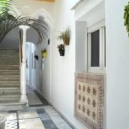 Veedor 19 Dias Y Muchas Noches