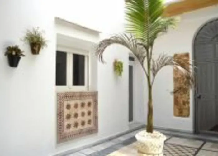 Veedor 19 Dias Y Muchas Noches