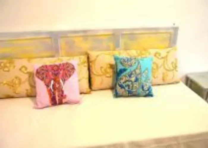 Veedor 19 Dias Y Muchas Noches * Cadice