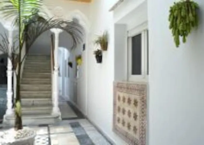 Veedor 19 Dias Y Muchas Noches