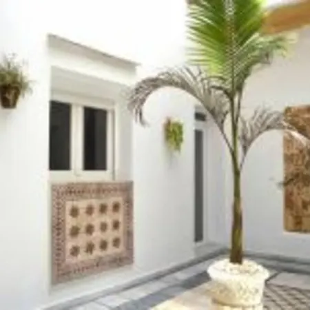 Veedor 19 Dias Y Muchas Noches