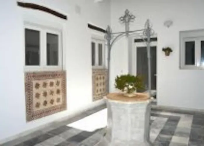 Veedor 19 Dias Y Muchas Noches